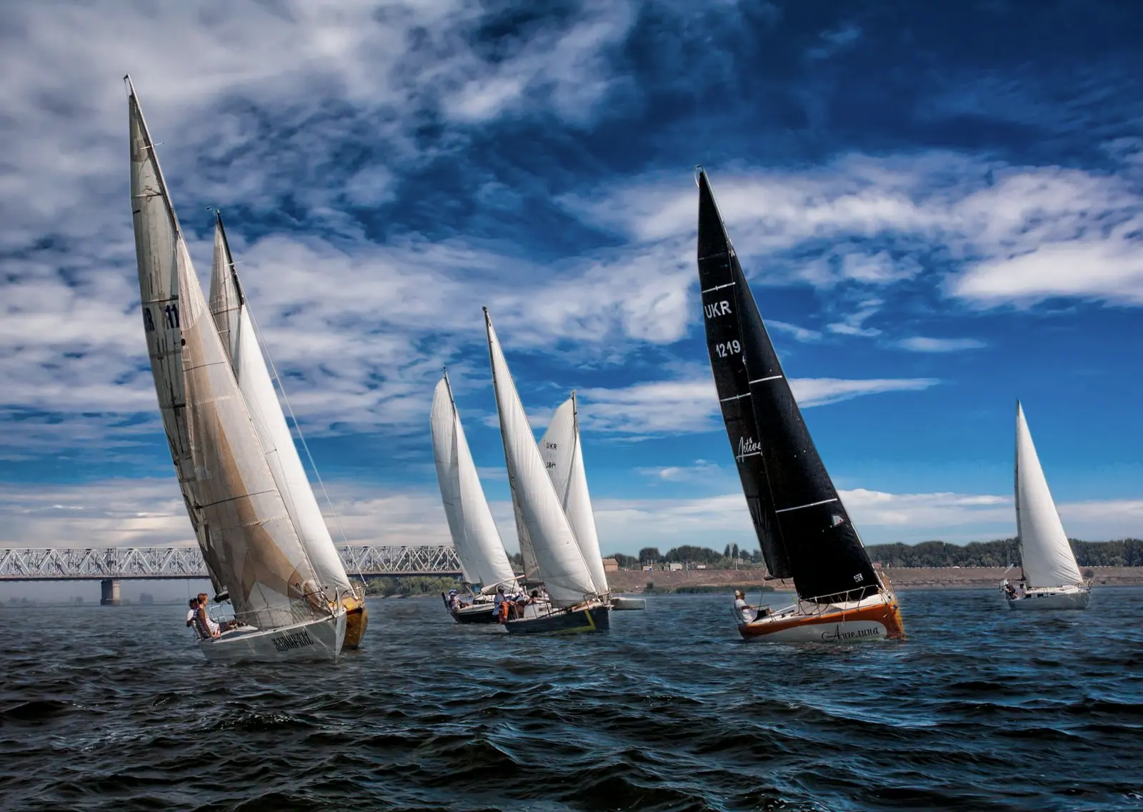 Sailing regatta